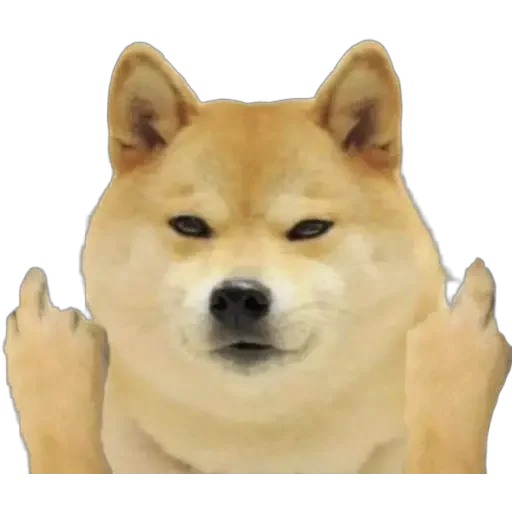 😂 Стикер «Doge(Ⲁⲡⲁⲛⲟⲅⲃ)» для Telegram