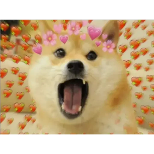 😂 Стикер «Doge(Ⲁⲡⲁⲛⲟⲅⲃ)» для Telegram
