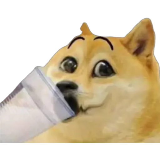 😂 Стикер «Doge(Ⲁⲡⲁⲛⲟⲅⲃ)» для Telegram