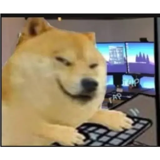 😂 Стикер «Doge(Ⲁⲡⲁⲛⲟⲅⲃ)» для Telegram