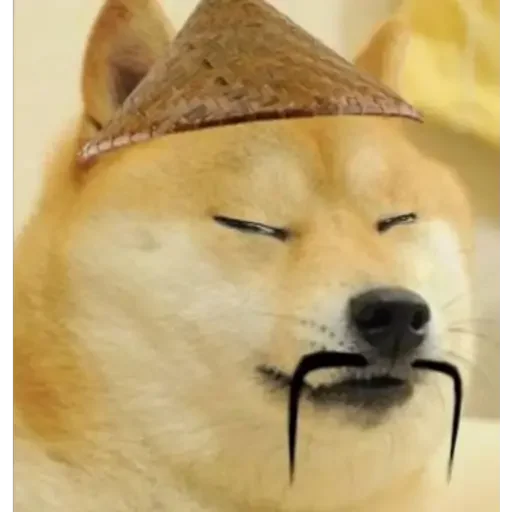 😂 Стикер «Doge(Ⲁⲡⲁⲛⲟⲅⲃ)» для Telegram