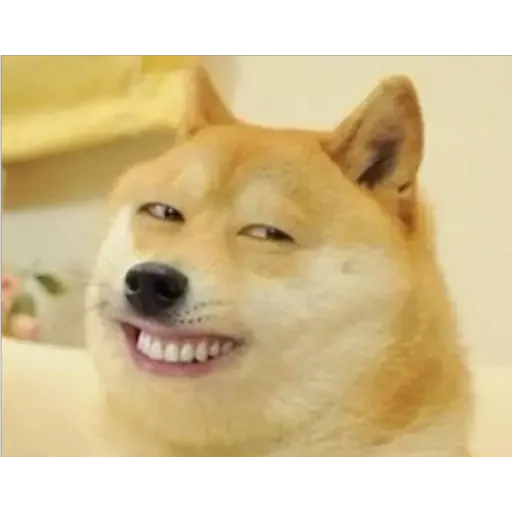😂 Стикер «Doge(Ⲁⲡⲁⲛⲟⲅⲃ)» для Telegram