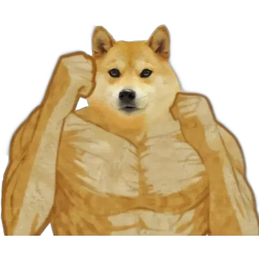 😂 Стикер «Doge(Ⲁⲡⲁⲛⲟⲅⲃ)» для Telegram