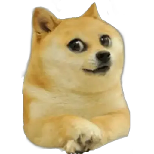 😂 Стикер «Doge(Ⲁⲡⲁⲛⲟⲅⲃ)» для Telegram