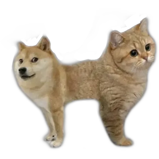 😂 Стикер «Doge(Ⲁⲡⲁⲛⲟⲅⲃ)» для Telegram