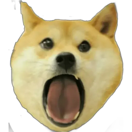 😱 Стикер «Doge(Ⲁⲡⲁⲛⲟⲅⲃ)» для Telegram