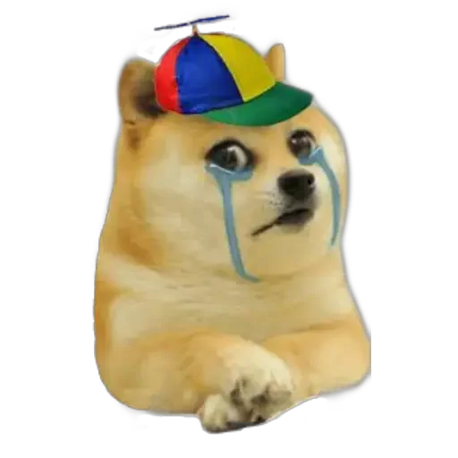 😭 Стикер «Doge(Ⲁⲡⲁⲛⲟⲅⲃ)» для Telegram