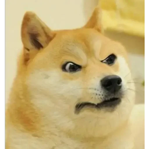 😡 Стикер «Doge(Ⲁⲡⲁⲛⲟⲅⲃ)» для Telegram