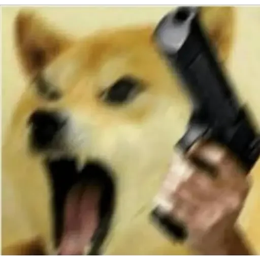 😡 Стикер «Doge(Ⲁⲡⲁⲛⲟⲅⲃ)» для Telegram