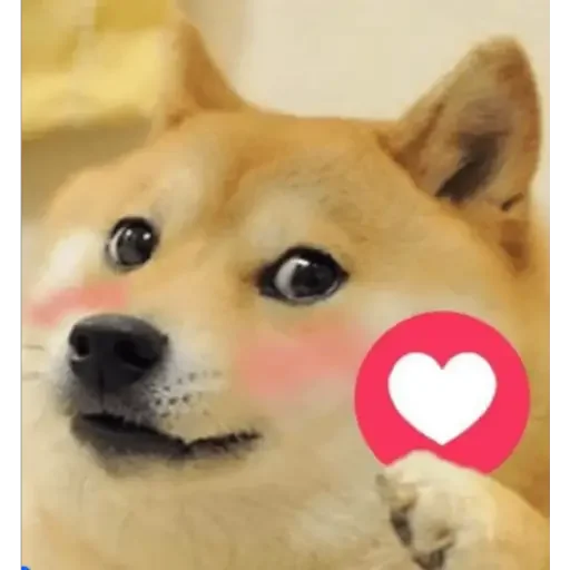 ❤️ Стикер «Doge(Ⲁⲡⲁⲛⲟⲅⲃ)» для Telegram