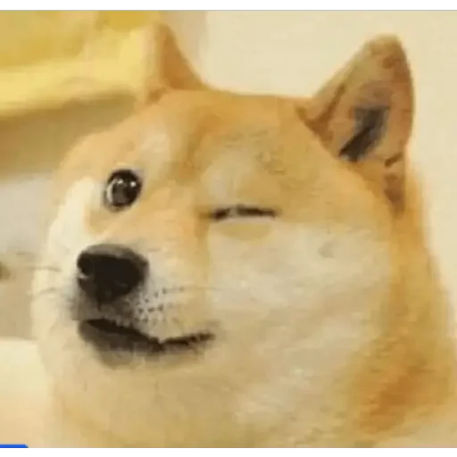 😉 Стикер «Doge(Ⲁⲡⲁⲛⲟⲅⲃ)» для Telegram