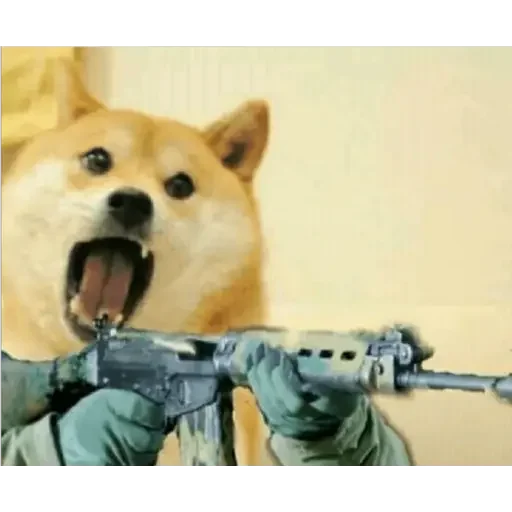 😤 Стикер «Doge(Ⲁⲡⲁⲛⲟⲅⲃ)» для Telegram