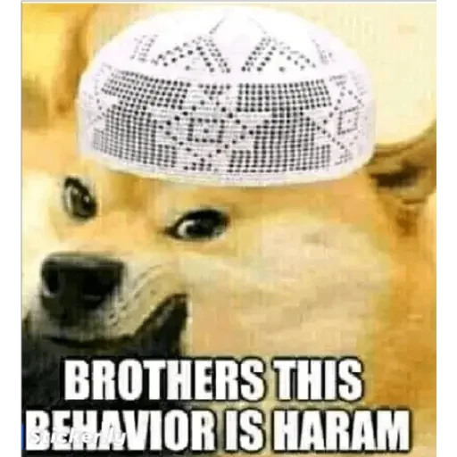 😢 Стикер «Doge(Ⲁⲡⲁⲛⲟⲅⲃ)» для Telegram