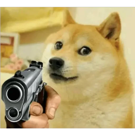 😎 Стикер «Doge(Ⲁⲡⲁⲛⲟⲅⲃ)» для Telegram