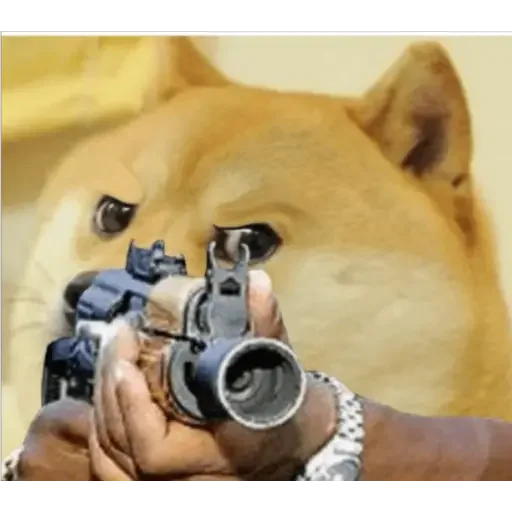 😂 Стикер «Doge(Ⲁⲡⲁⲛⲟⲅⲃ)» для Telegram