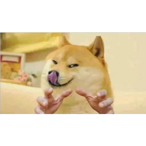 😋 Стикер «Doge(Ⲁⲡⲁⲛⲟⲅⲃ)» для Telegram