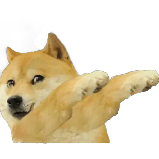 😎 Стикер «Doge(Ⲁⲡⲁⲛⲟⲅⲃ)» для Telegram