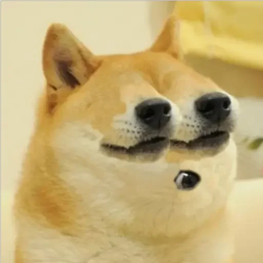 😐 Стикер «Doge(Ⲁⲡⲁⲛⲟⲅⲃ)» для Telegram