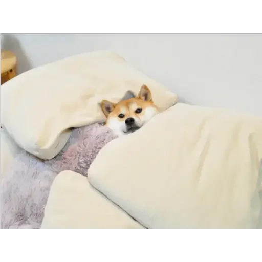 🌚 Стикер «Doge(Ⲁⲡⲁⲛⲟⲅⲃ)» для Telegram