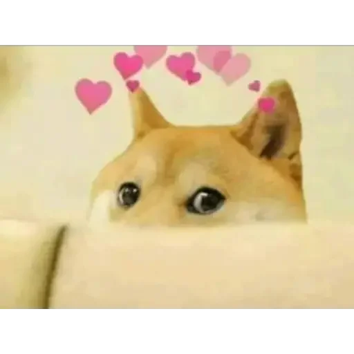 😍 Стикер «Doge(Ⲁⲡⲁⲛⲟⲅⲃ)» для Telegram