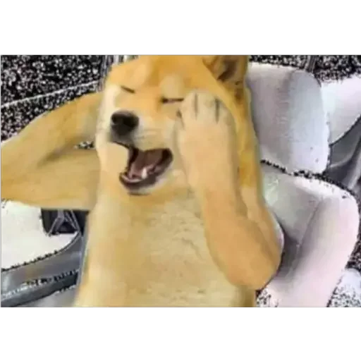 😶 Стикер «Doge(Ⲁⲡⲁⲛⲟⲅⲃ)» для Telegram