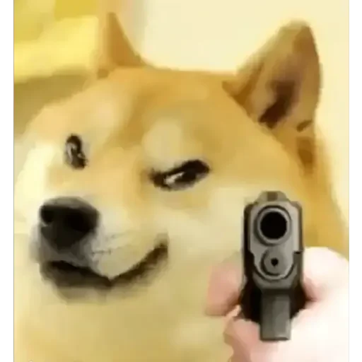👊 Стикер «Doge(Ⲁⲡⲁⲛⲟⲅⲃ)» для Telegram