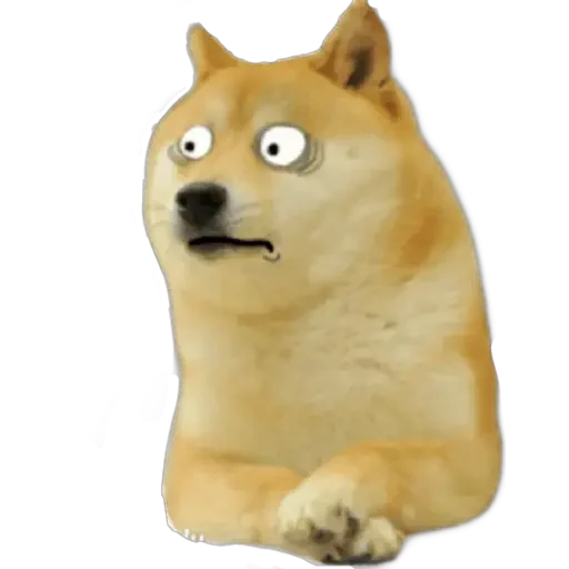 🙄 Стикер «Doge(Ⲁⲡⲁⲛⲟⲅⲃ)» для Telegram
