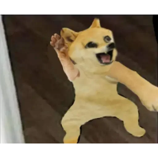💃 Стикер «Doge(Ⲁⲡⲁⲛⲟⲅⲃ)» для Telegram