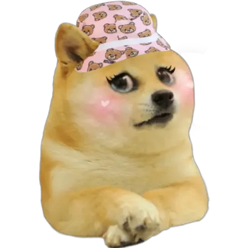 🙉 Стикер «Doge(Ⲁⲡⲁⲛⲟⲅⲃ)» для Telegram