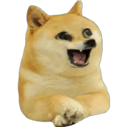 😆 Стикер «Doge(Ⲁⲡⲁⲛⲟⲅⲃ)» для Telegram