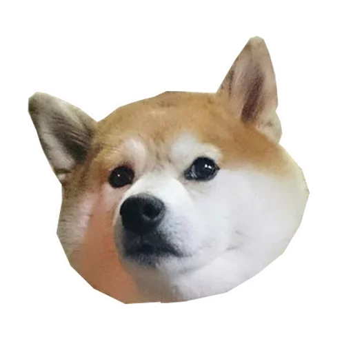 🐶 Стикер «Doge» для Telegram