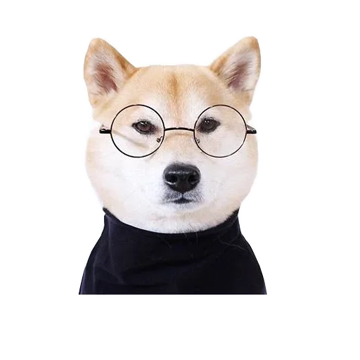 🐶 Стикер «Doge» для Telegram