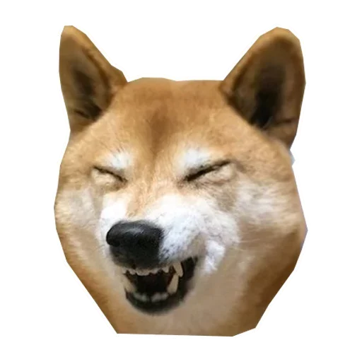 🐶 Стикер «Doge» для Telegram