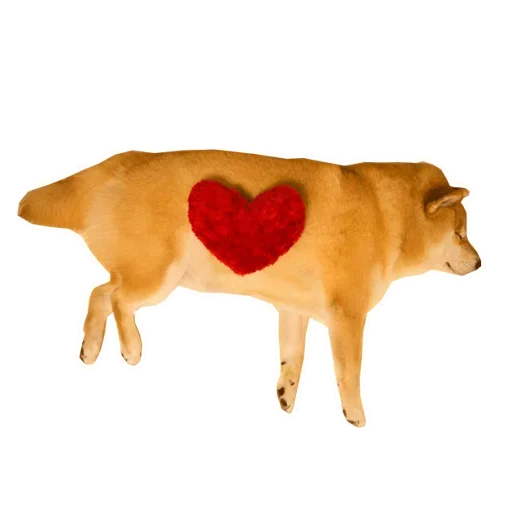 🐶 Стикер «Doge» для Telegram