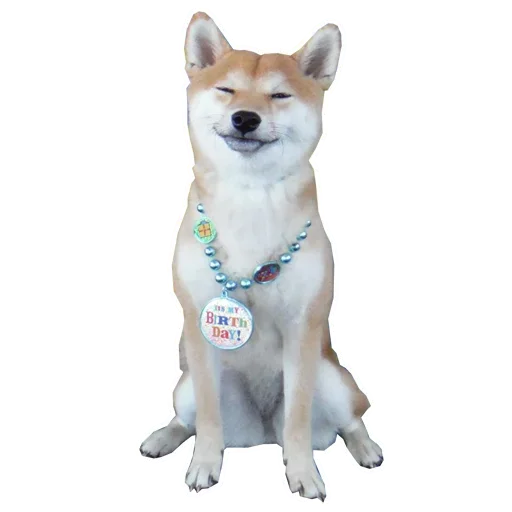 🐶 Стикер «Doge» для Telegram