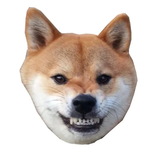 🐶 Стикер «Doge» для Telegram
