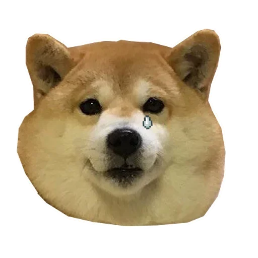 🐶 Стикер «Doge» для Telegram