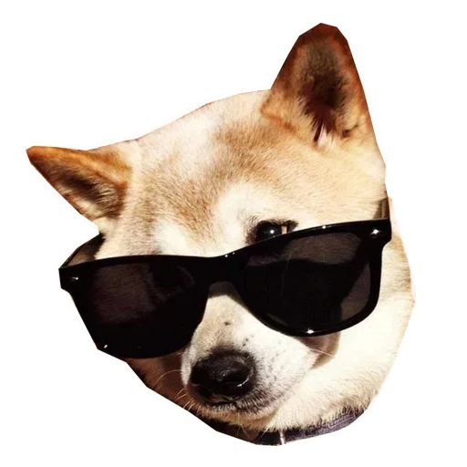 🐶 Стикер «Doge» для Telegram