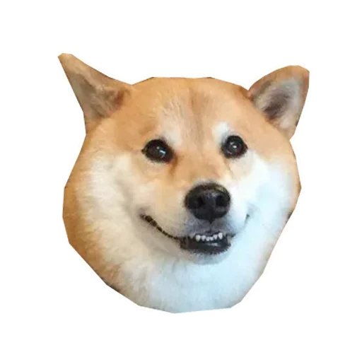 🐶 Стикер «Doge» для Telegram