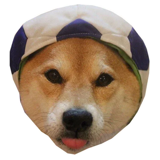 🐶 Стикер «Doge» для Telegram