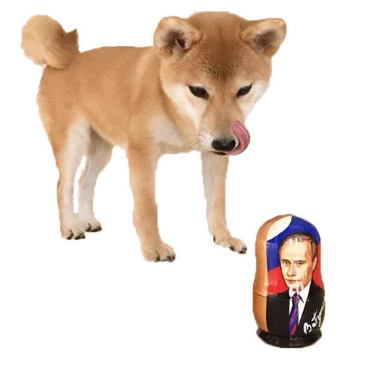 🐶 Стикер «Doge» для Telegram