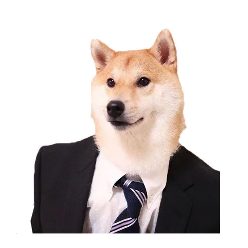 🐶 Стикер «Doge» для Telegram