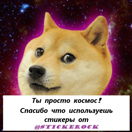🐶 Стикер «Doge» для Telegram