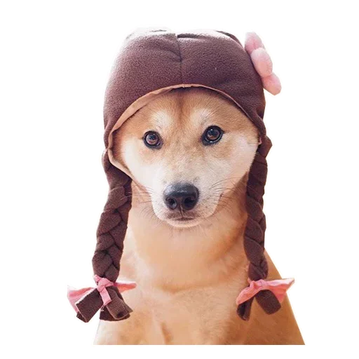 🐶 Стикер «Doge» для Telegram