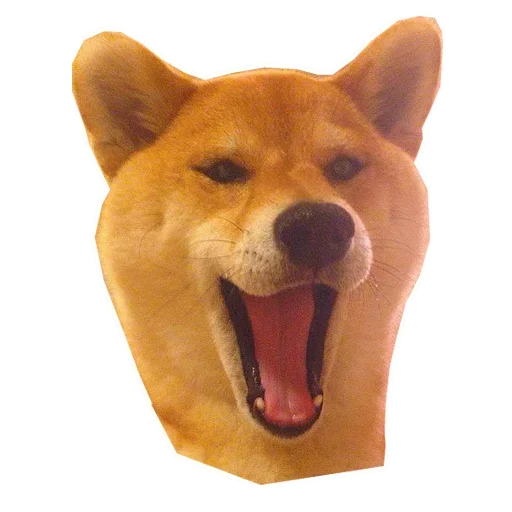 🐶 Стикер «Doge» для Telegram