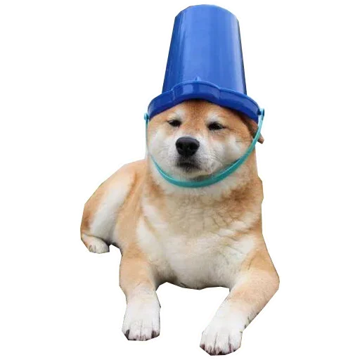 🐶 Стикер «Doge» для Telegram