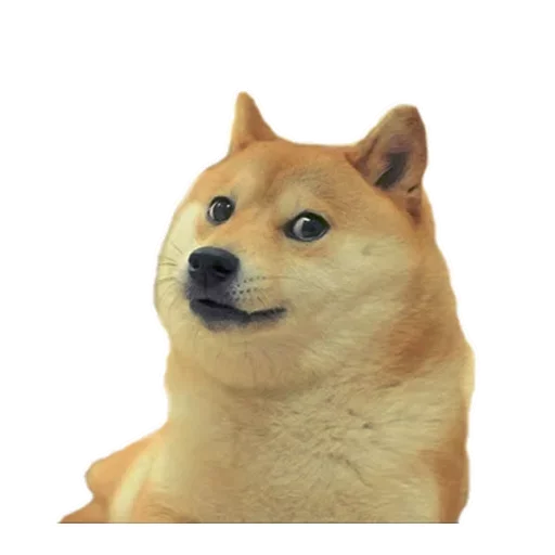 🐶 Стикер «Doge» для Telegram