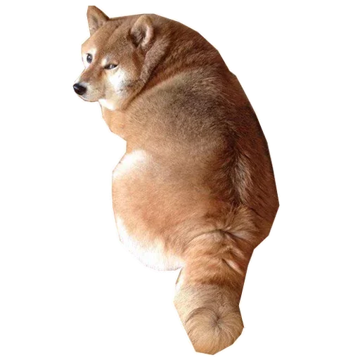 🐶 Стикер «Doge» для Telegram