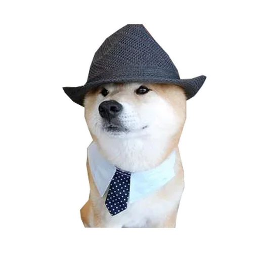 🐶 Стикер «Doge» для Telegram