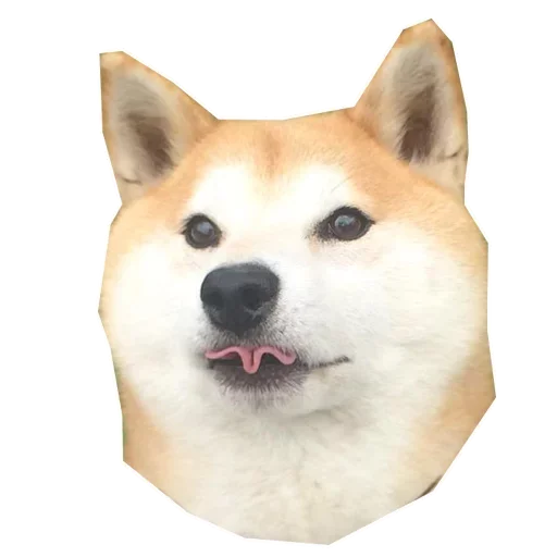 🐶 Стикер «Doge» для Telegram